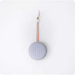 B & O Bleutooth Speaker