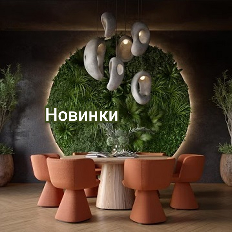 Новинки