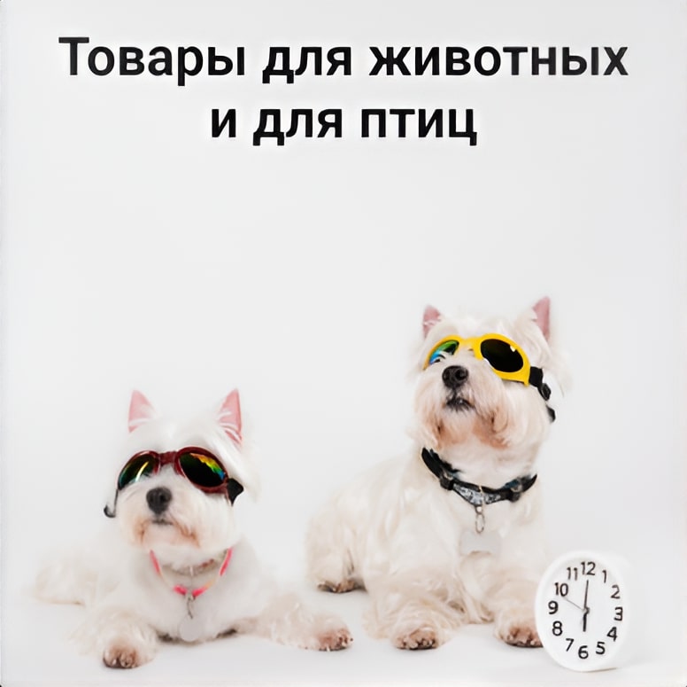 Товары для животных 